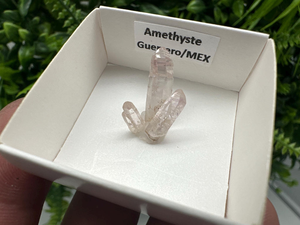 Mexican Amethyst Cluster: Mineral Specimen, Crystal Collection