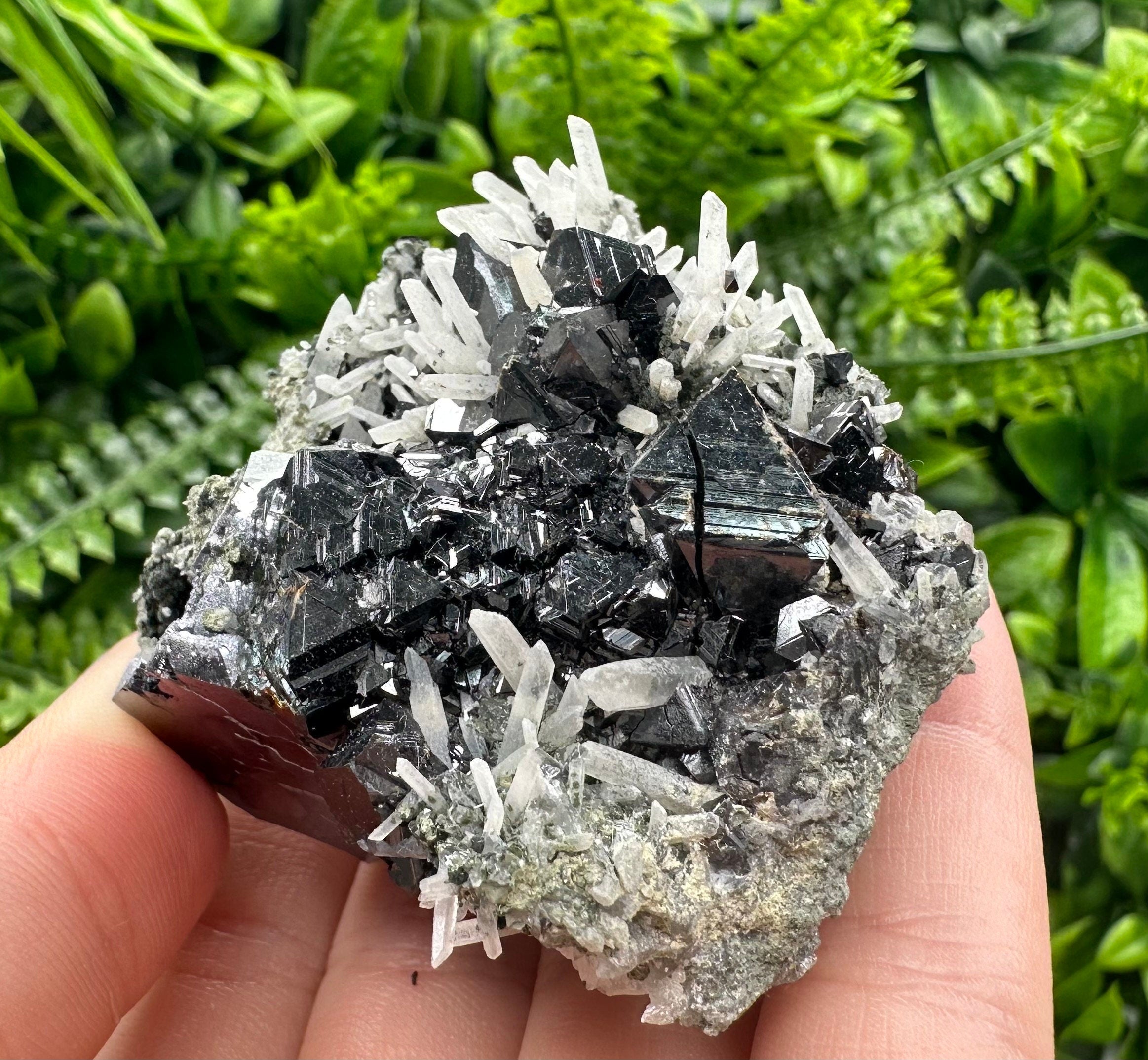 Borieva Sphalerite on Quartz: Rare Mineral Cluster