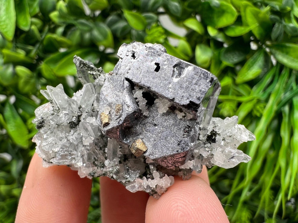 Galena Pyrite Quartz Specimen, Borieva Mine, Bulgaria
