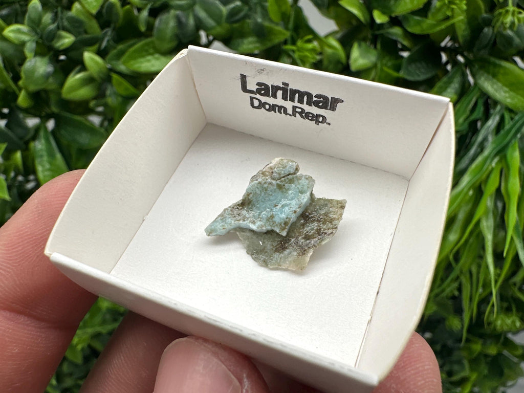 Rare Raw Larimar Specimen: Dom. Rep. Mineral Collection (20mm)