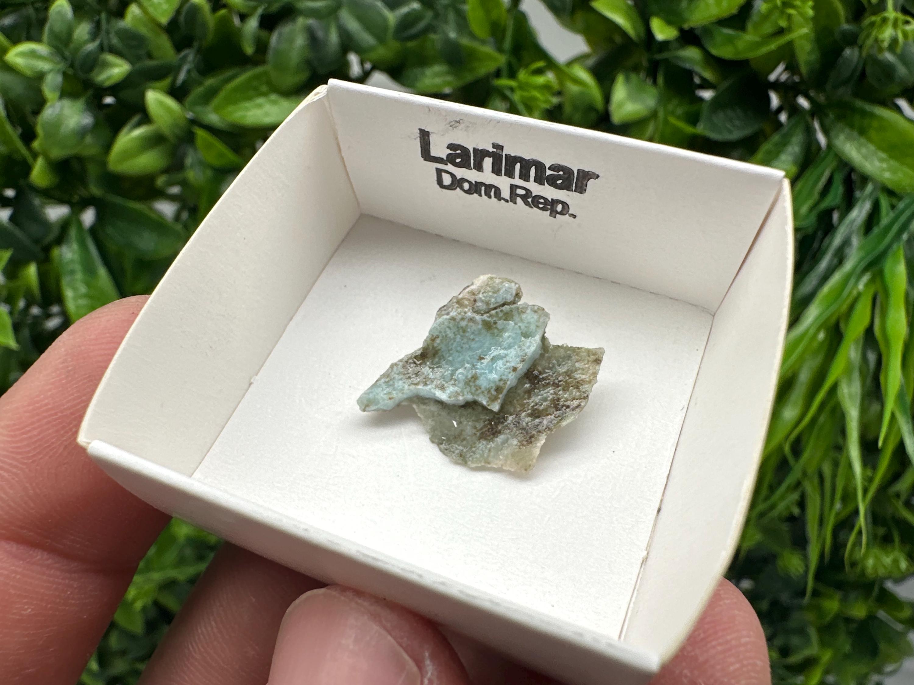 Rare Raw Larimar Specimen: Dom. Rep. Mineral Collection (20mm)
