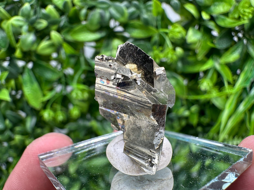 Rare Crystallized Pyrite Specimen: Borieva Mine, Bulgaria