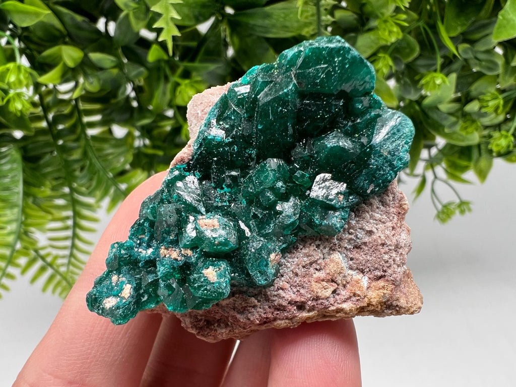 Stunning Green Dioptase from Sanda Hills,Mindouli,Pool Department,Mindouli District,Congo,green Dioptase,Dioptas Crystal,Dioptase collecting