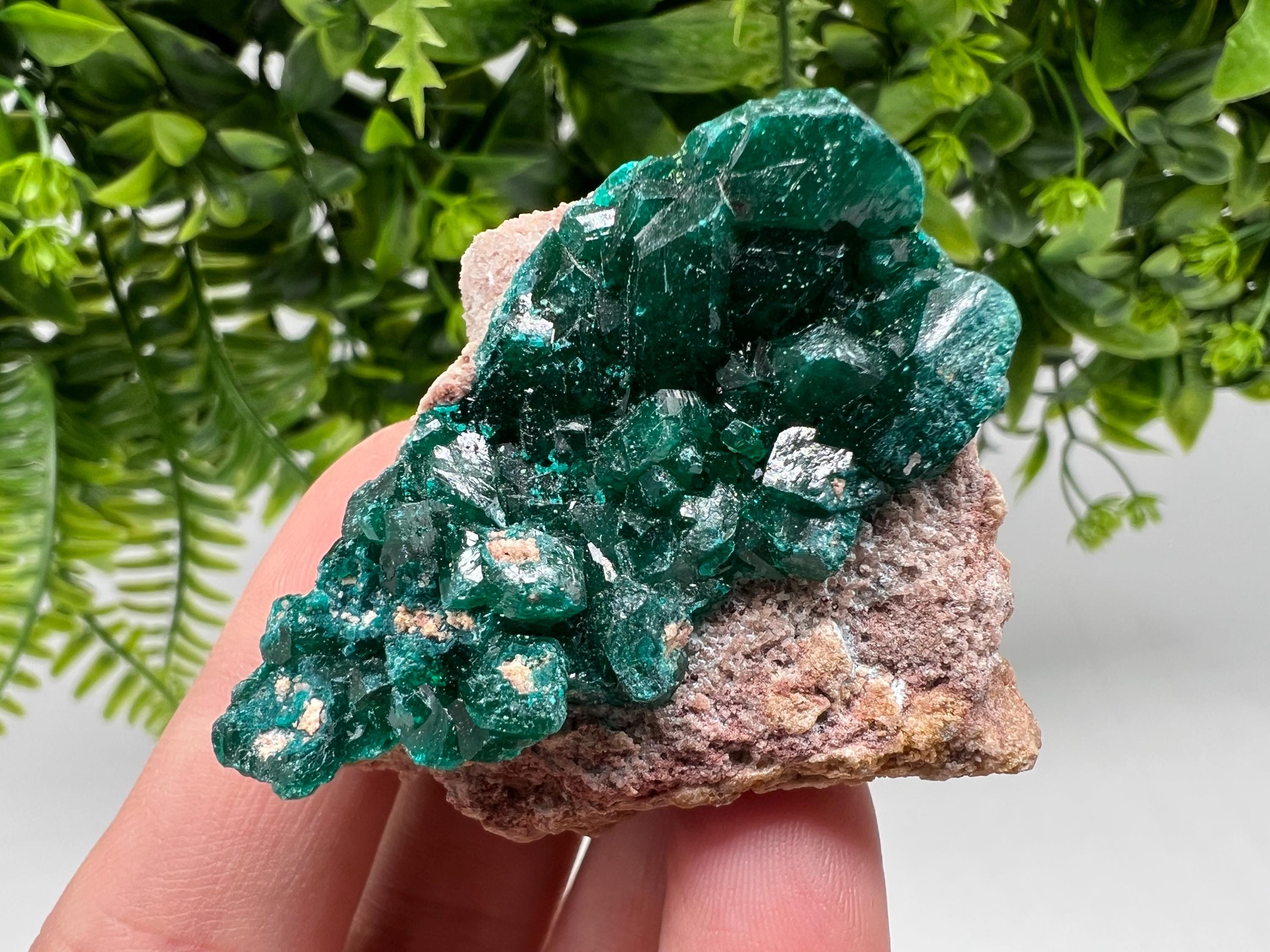 Stunning Green Dioptase from Sanda Hills,Mindouli,Pool Department,Mindouli District,Congo,green Dioptase,Dioptas Crystal,Dioptase collecting