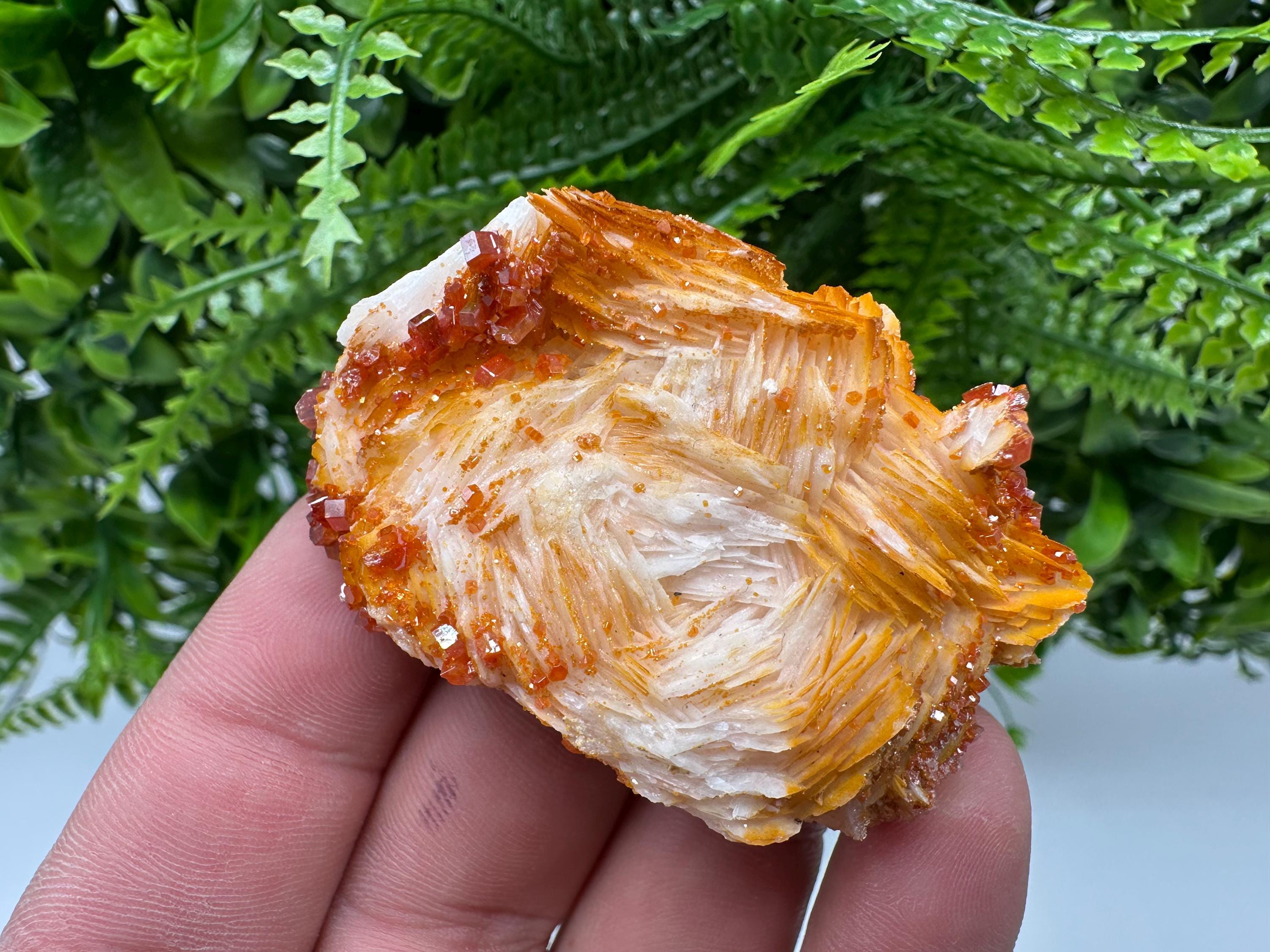 Red Vanadinite on Barite, Morocco Mineral Specimen