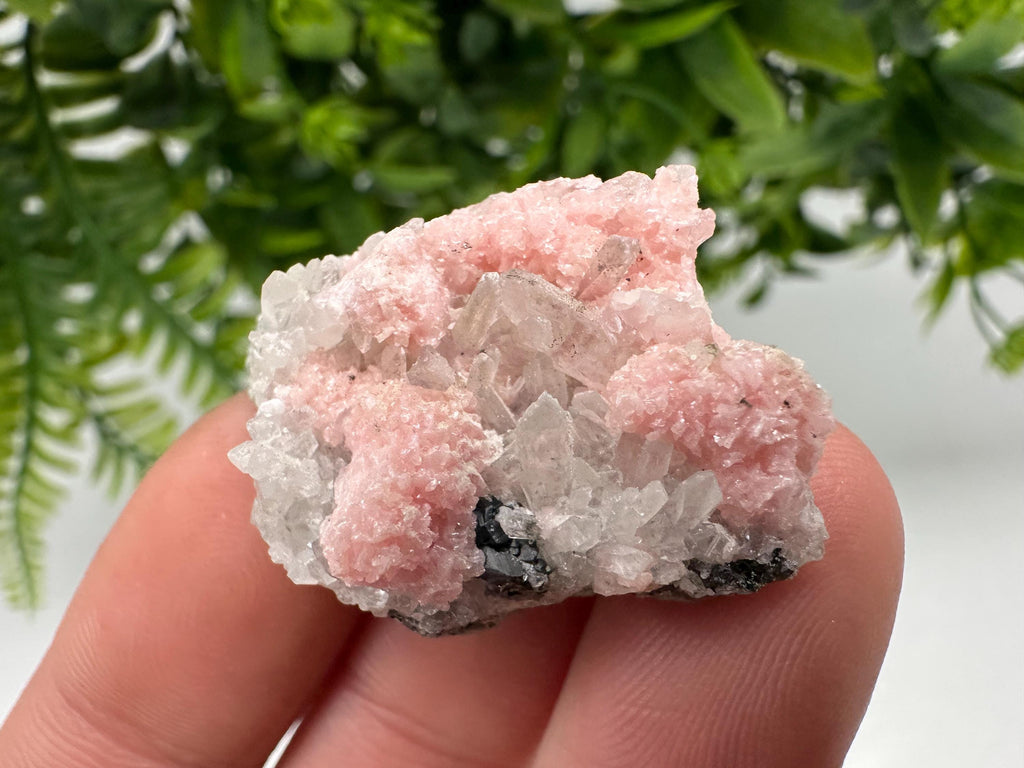 Pink Rhodochrosite Crystal: Starnica Mine, Bulgaria, Home Decor