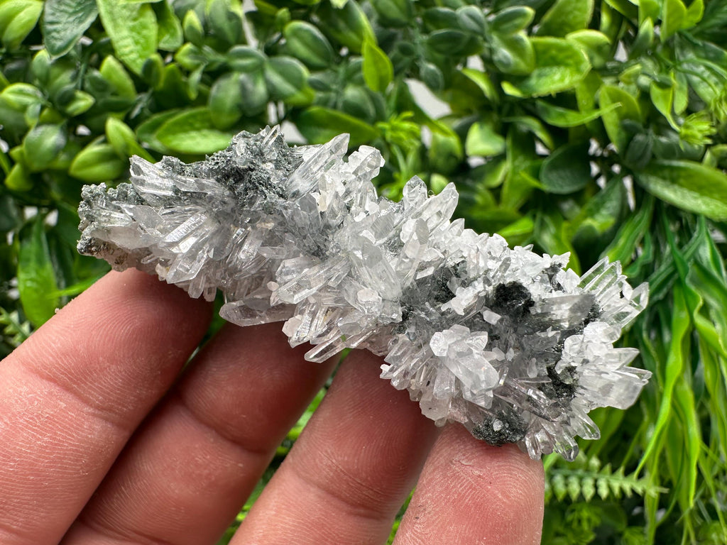 Transparent Quartz on Chlorite Matrix, Borieva Mine Mineral Specimen