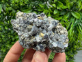 Pyrite Sphalerite Quartz  Mineral Specimen, Krushev dol Mine