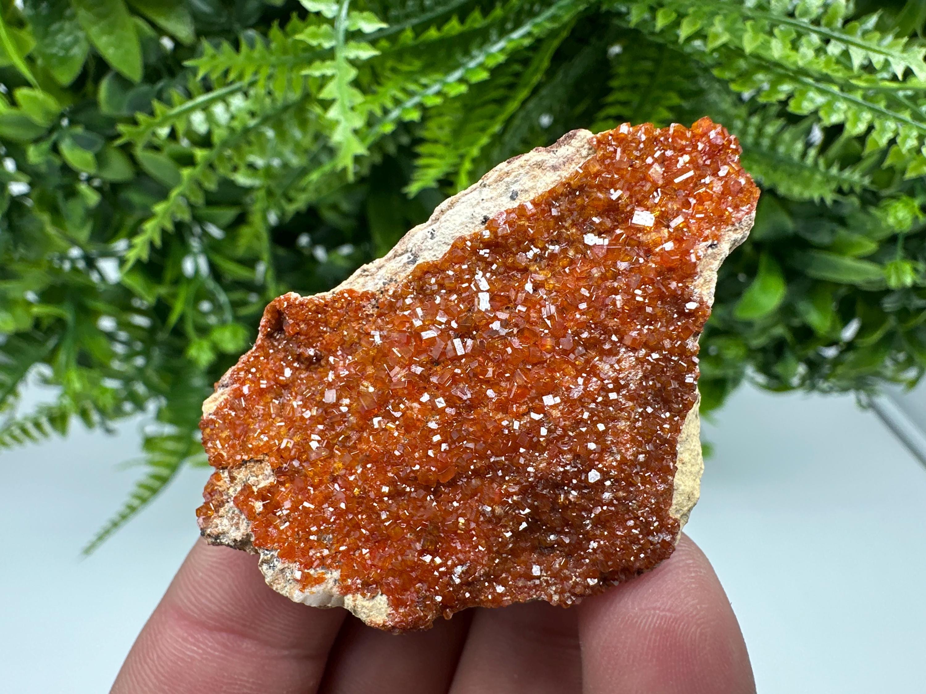 Red Vanadinite Crystal on Barite, Morocco Mineral Specimen