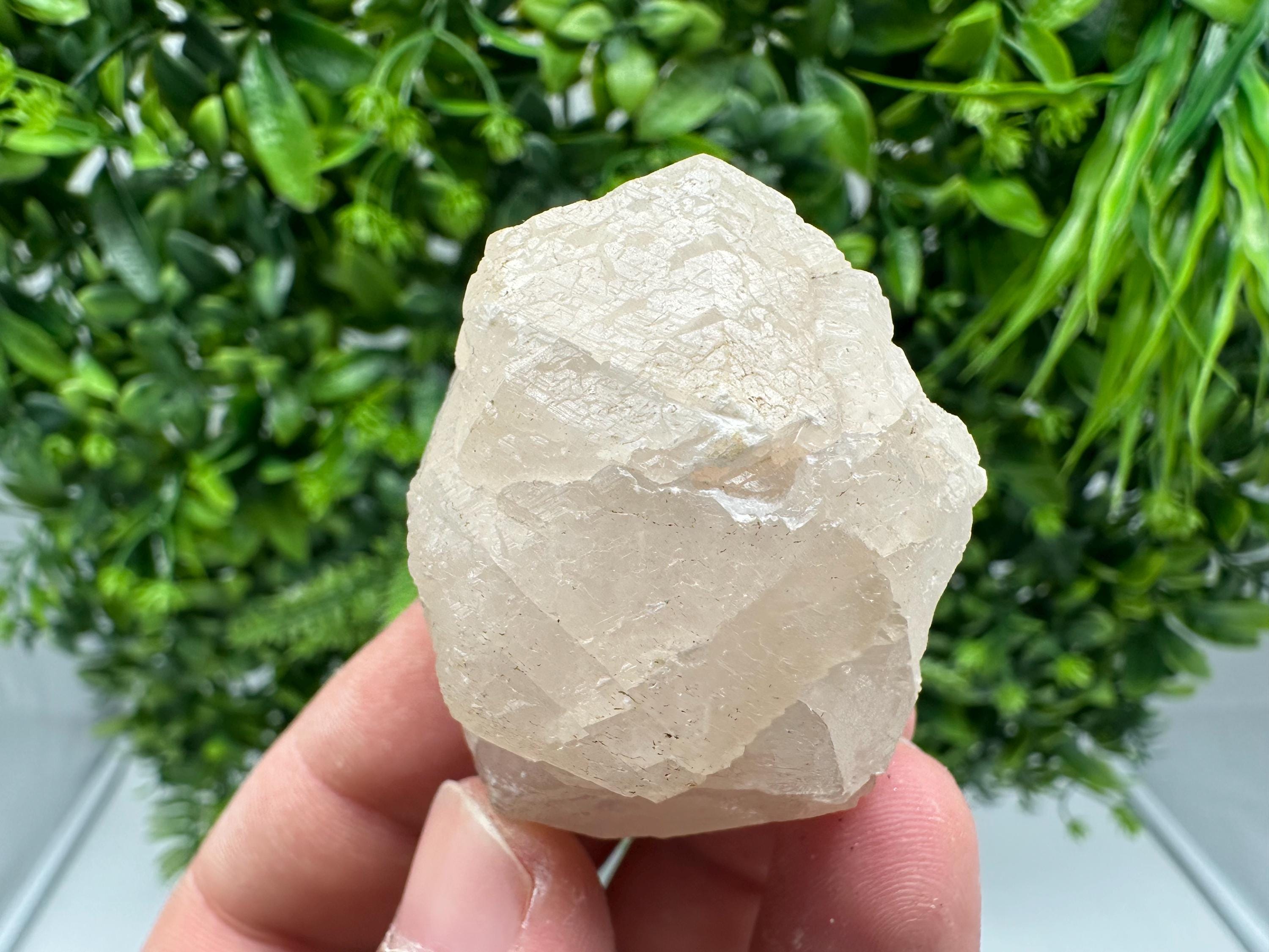 UV Mangano Calcite: Borieva Mine, Bulgaria Crystal Decor