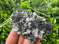 Quartz with Calcite and Chlorite: Borieva Mine Crystal Souvenir