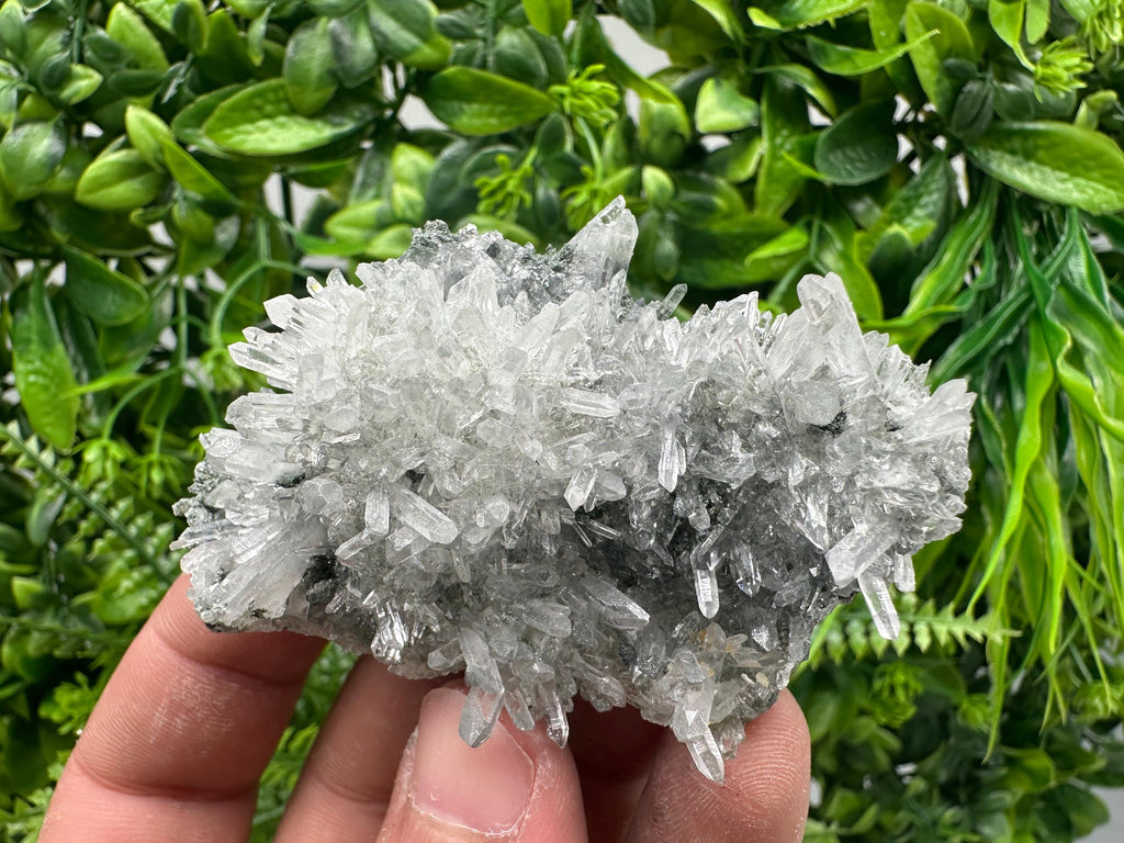 Transparent Quartz on Chlorite Matrix, Bulgaria Mineral Specimen