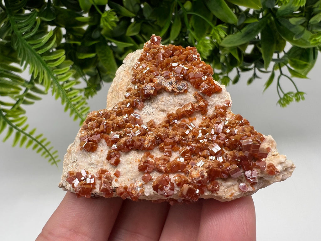 Red Vanadinite Crystal Cluster on Barite Matrix, Morocco
