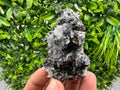 Quartz, Chlorite, Galena & Sphalerite Mineral Specimen: Borieva Mine