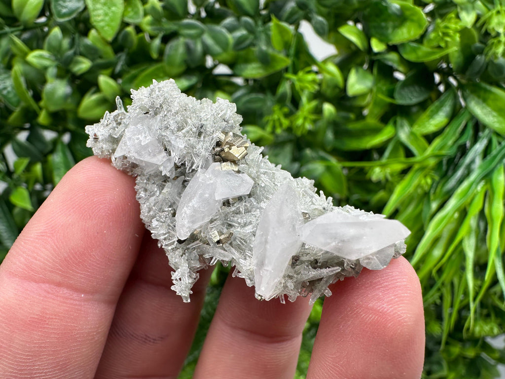Pyrite on Green Quartz Mineral Specimen, Borieva Mine