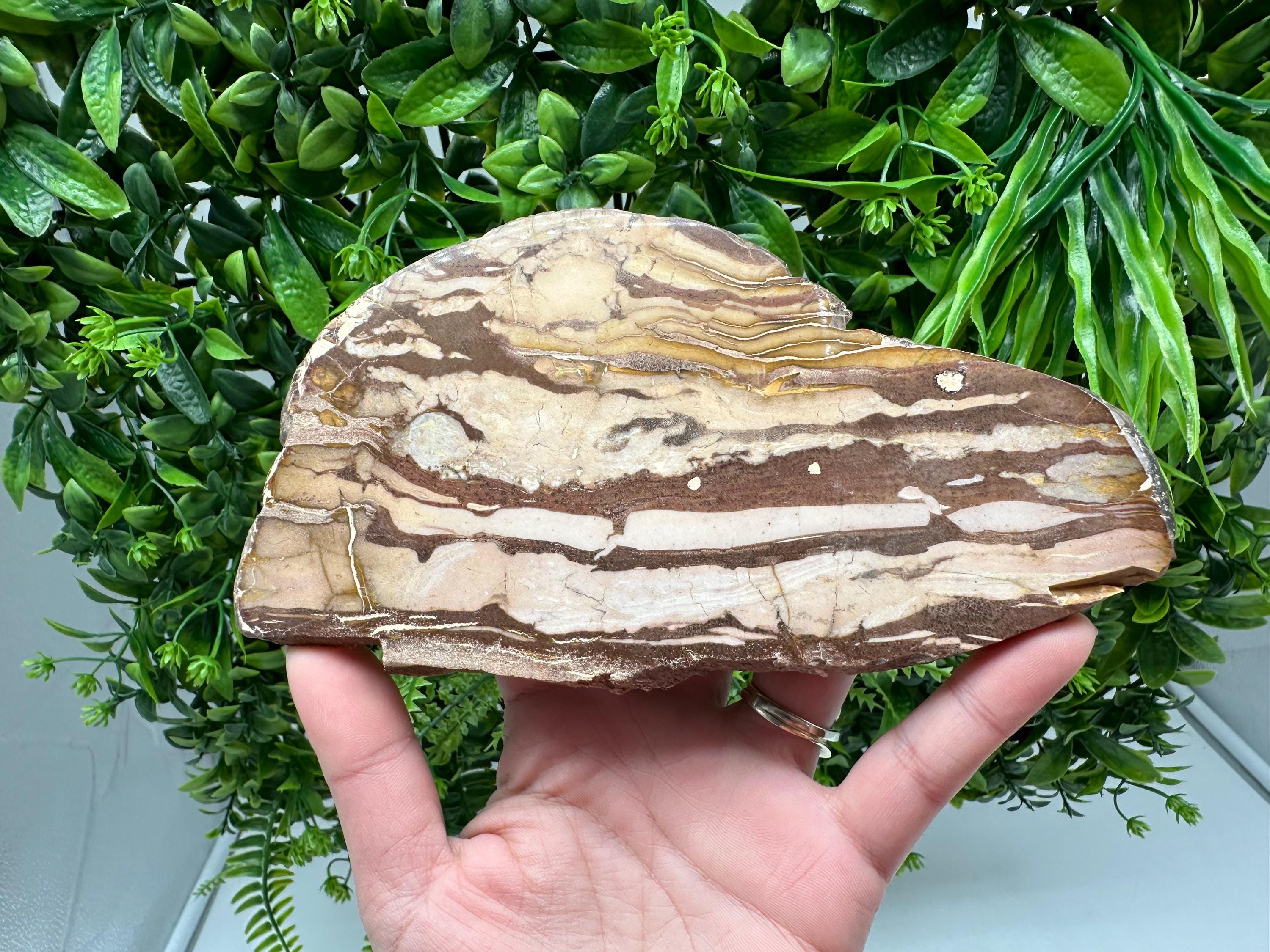 Landscape Jasper Slab – Polished Stone Slice, Natural Scenic Mineral Display