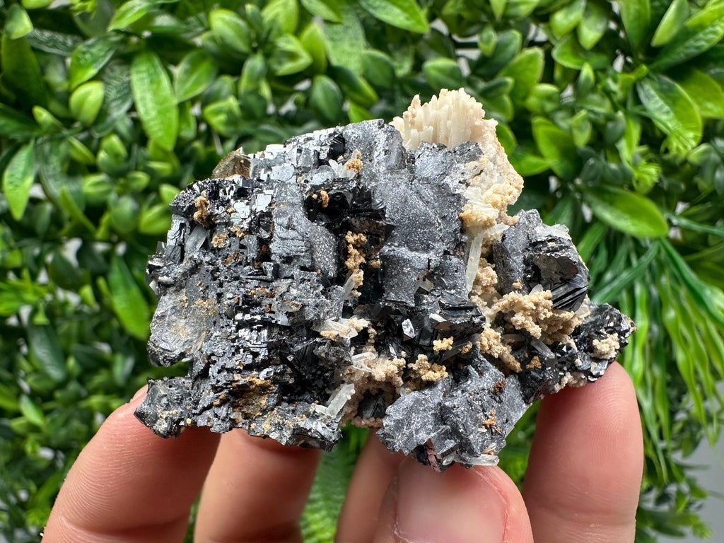 Skeletal Galena Mineral Specimen: Madan Bulgaria Collectible Stone