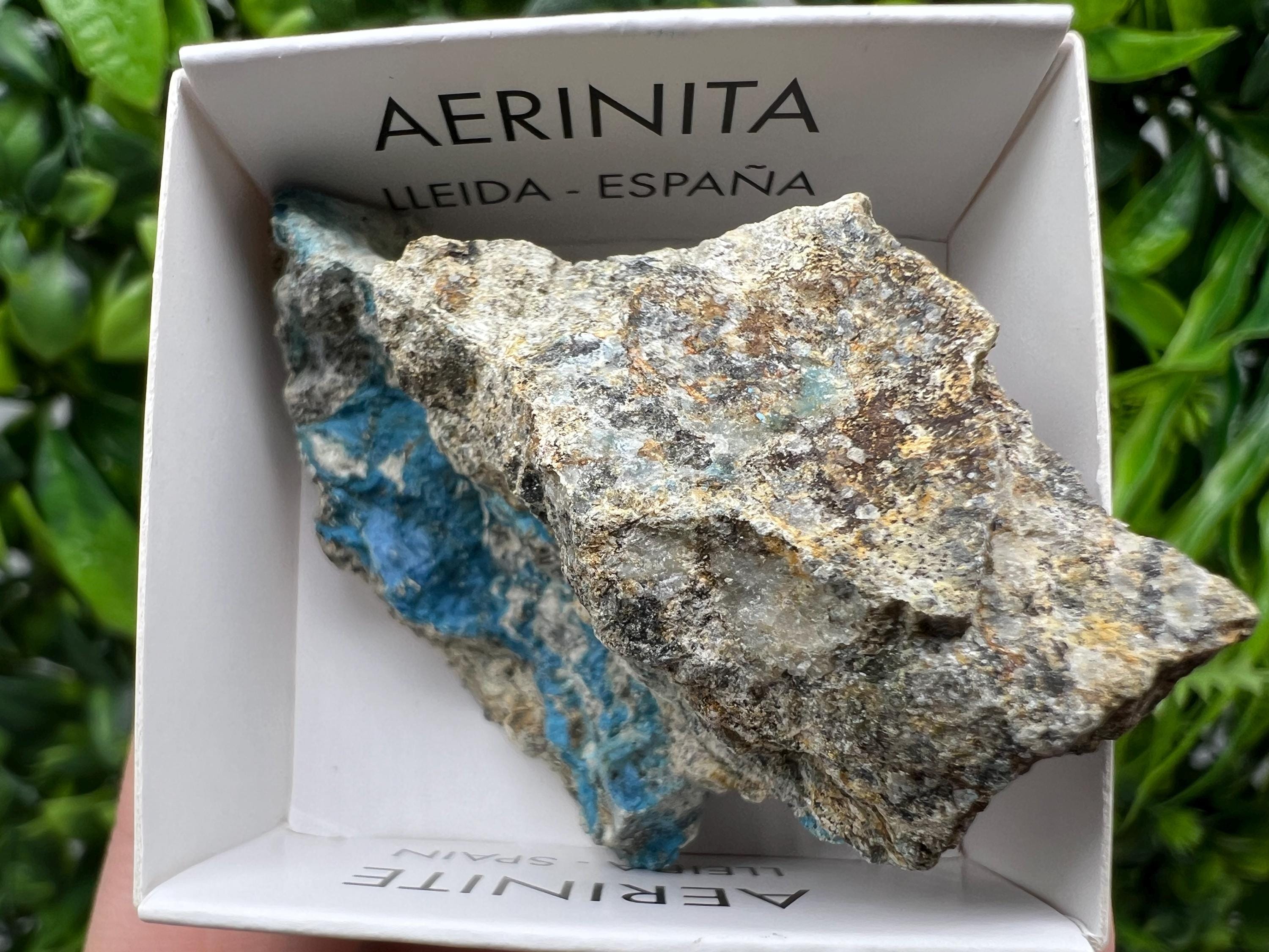 Rare Raw Aerinite Mineral Specimen: Collection Crystal from Lleida, Spain (5/3 cm