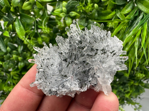 Chlorite Quartz Crystal Cluster - Borieva Mine, Bulgaria