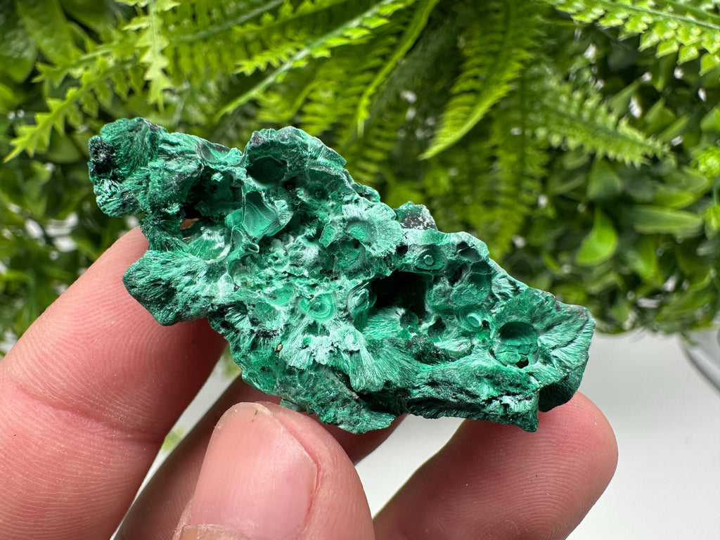 Malachite Crystal from Congo,Minerals,Crystals from Congo,Green Malachite, Malachite,Natural Malachite,Malachite Stone,Chakra, Specimens