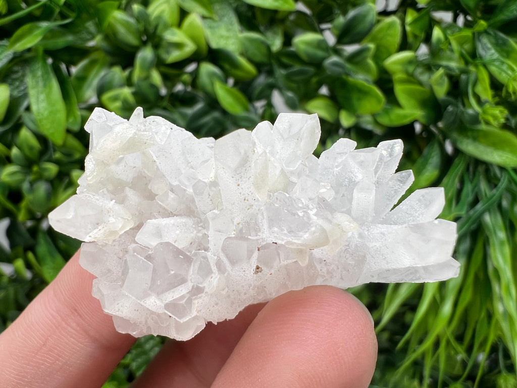 Wonderful Transparent Quartz on Chlorite Matrix,From Borieva mine,Madan,Bulgaria,Quartz,Quartz crystal,mineral specimen,collection quartz