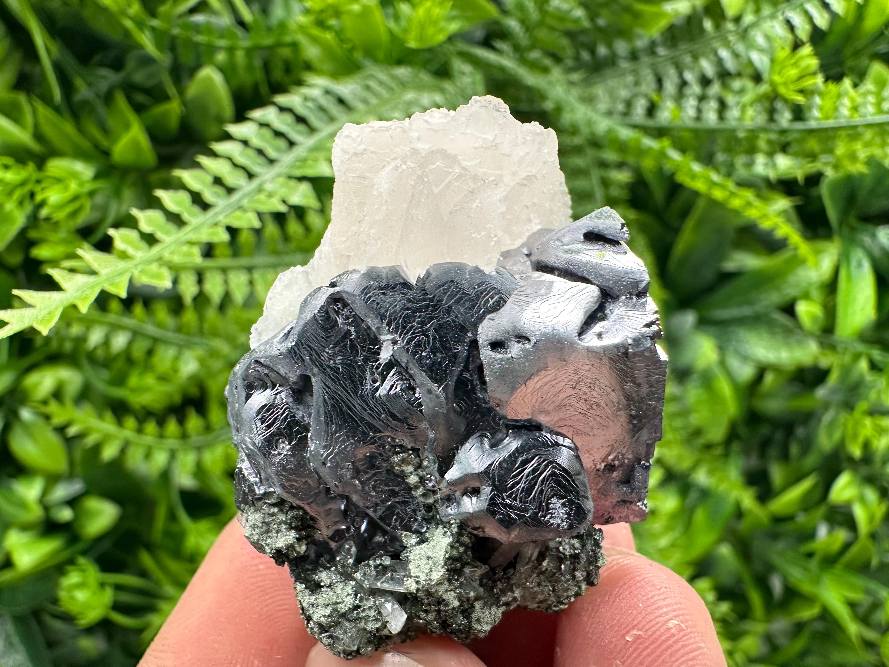 Shiny Galena with Calcite on Quartz, Chlorite Specimen
