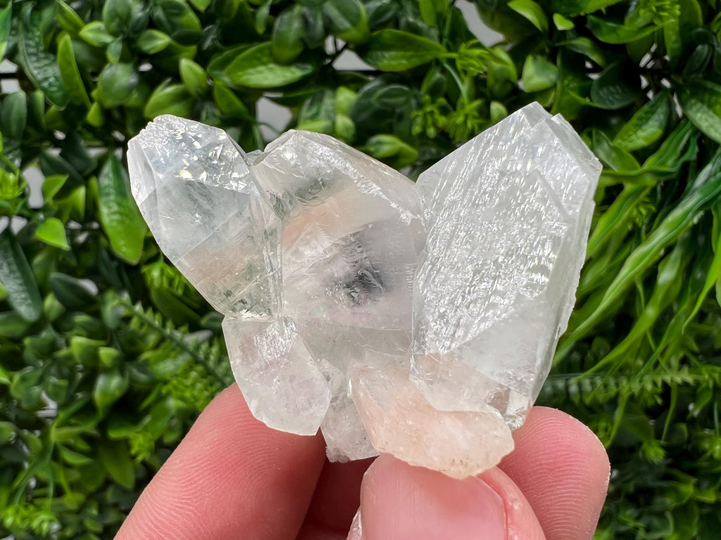 Transparent Apophyllite on Chalcedony, India Minerals Specimen