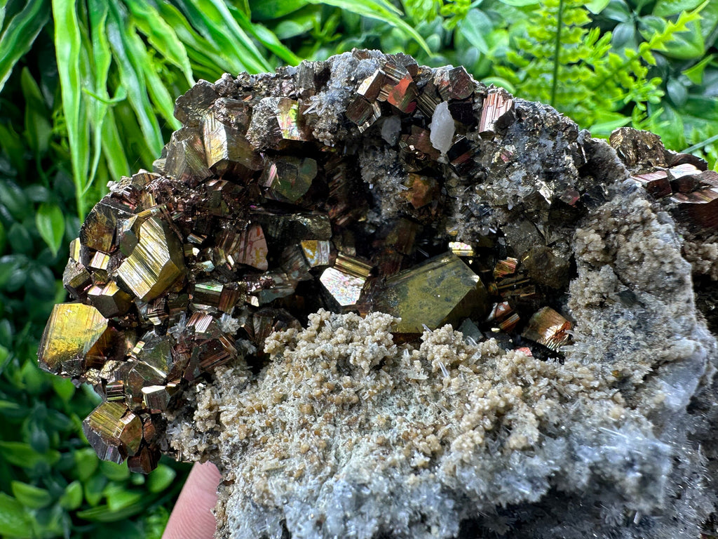 Pyrite on Quartz and Calcite: Natural Mineral Collection, Borieva Bulgaria