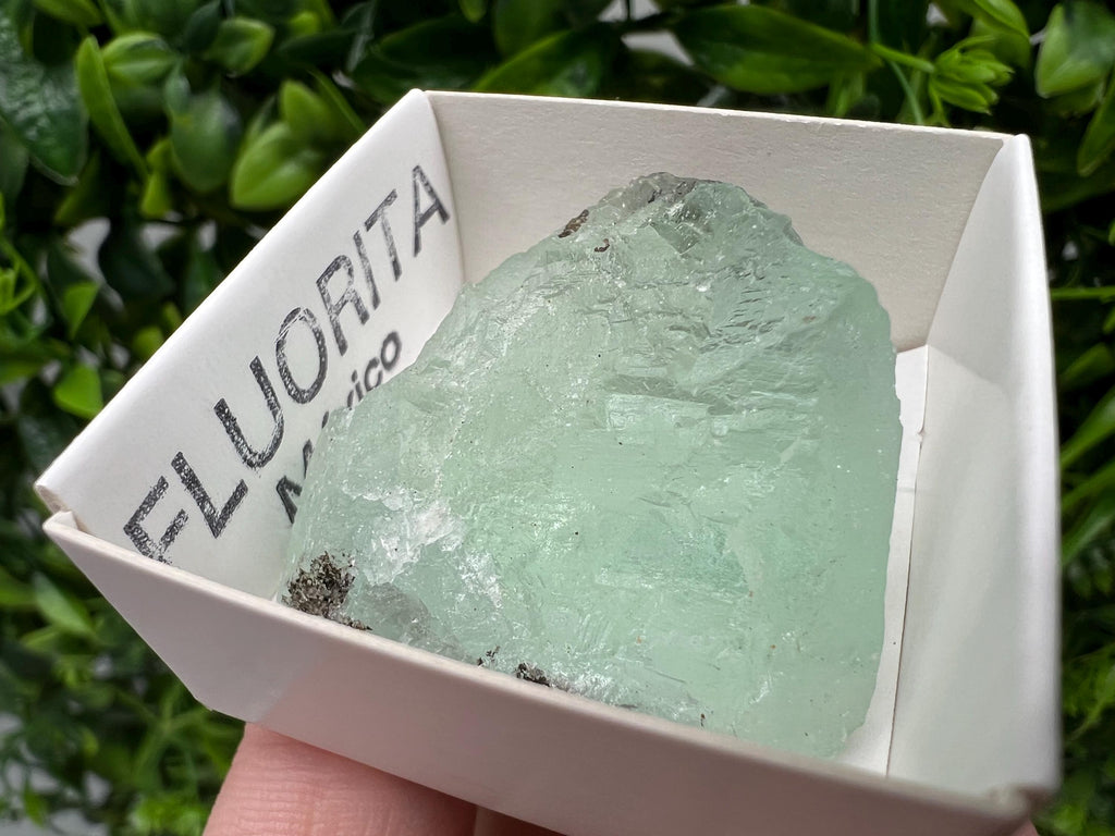 Rare Rainbow Fluorite from Mexico: Raw Meditation Stone, Vintage Gift