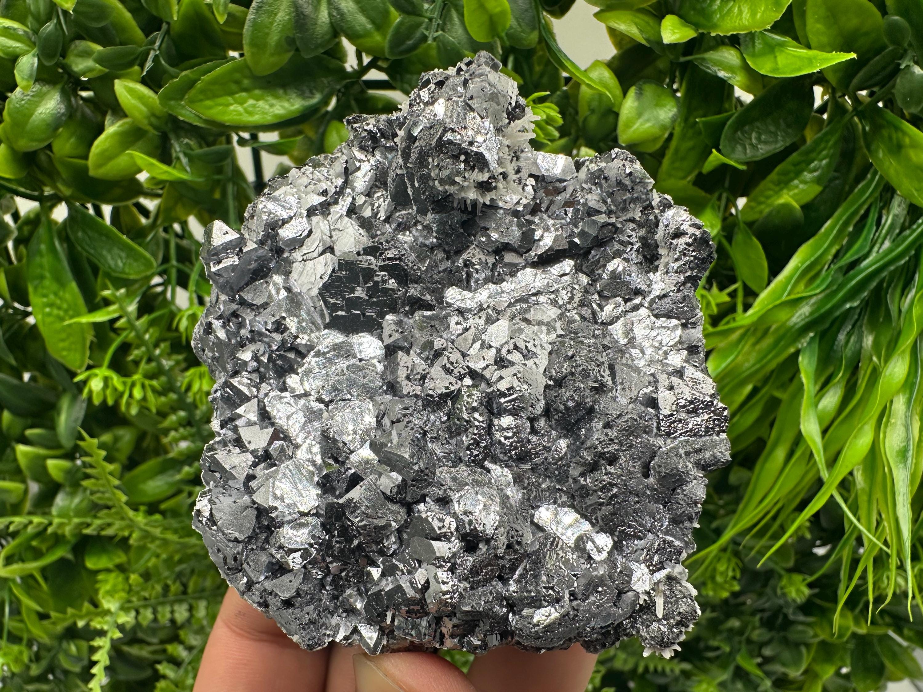 Galena with Quartz Mineral Specimen, Krushev dol Mine, Bulgaria