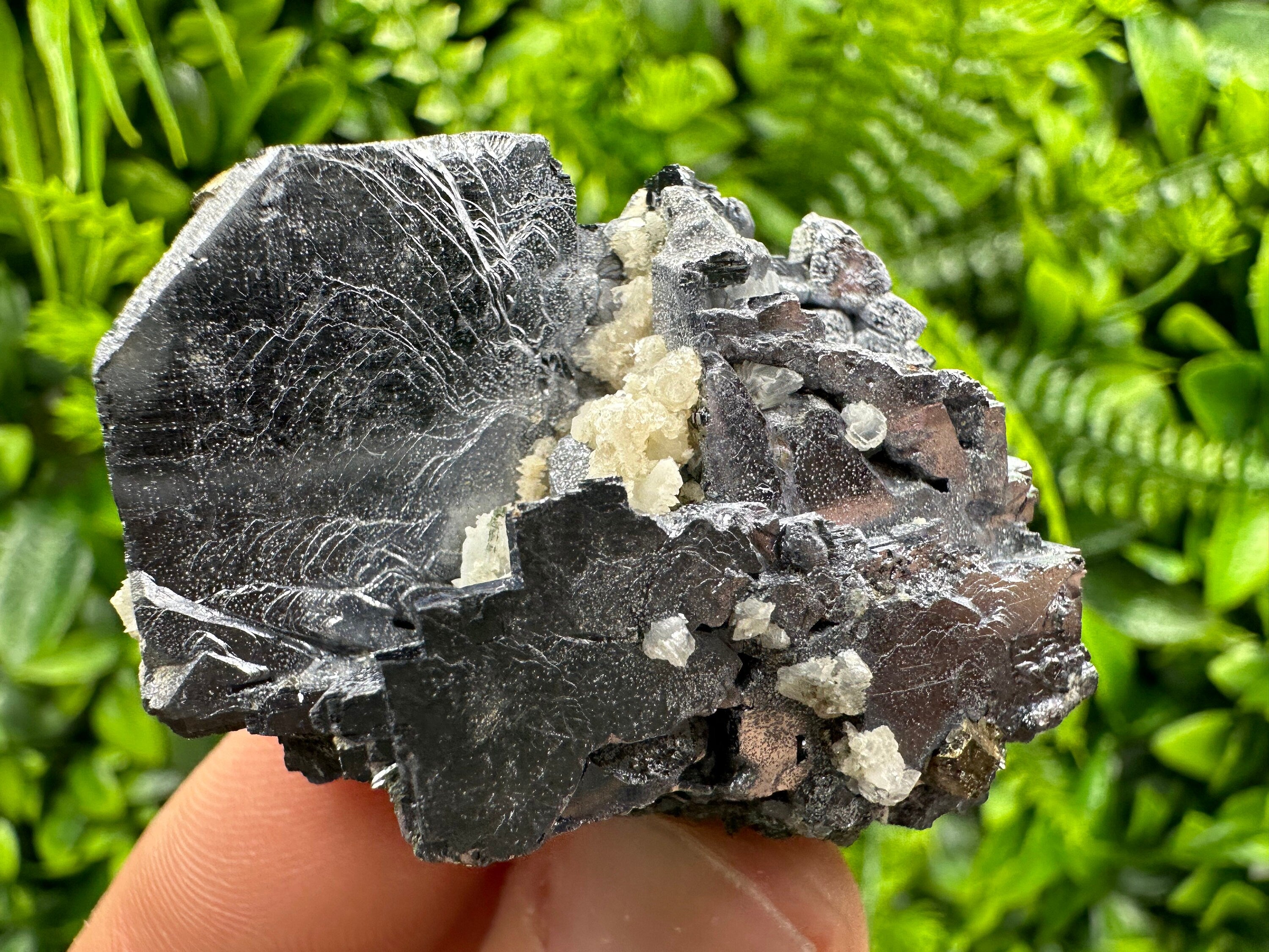 Galena Cluster: Shiny Mineral Stone from Borieva Mine, Bulgaria