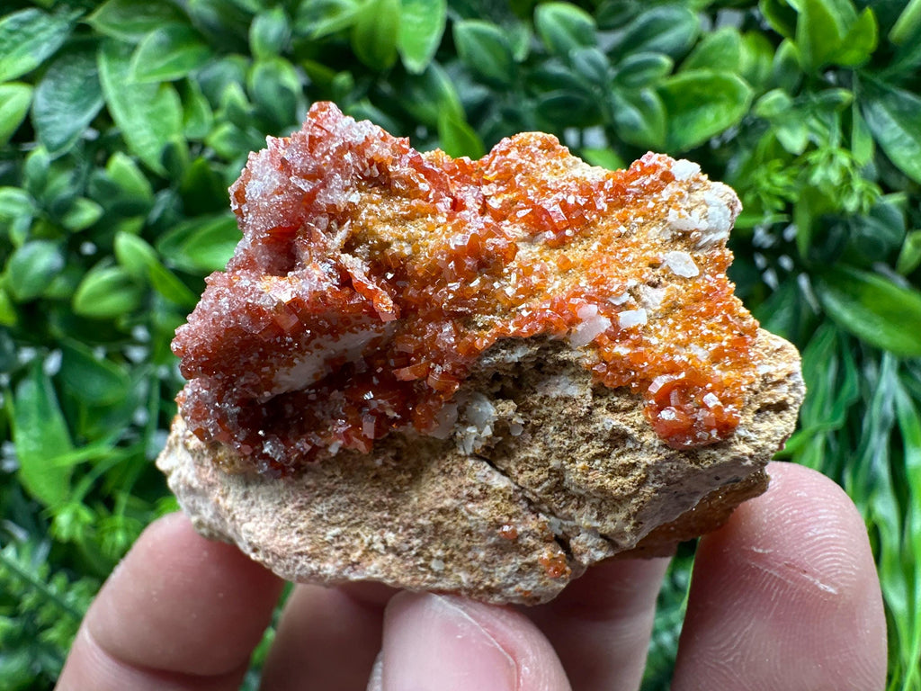 Red Vanadinite Crystal Cluster on Matrix, Morocco Mineral Specimen