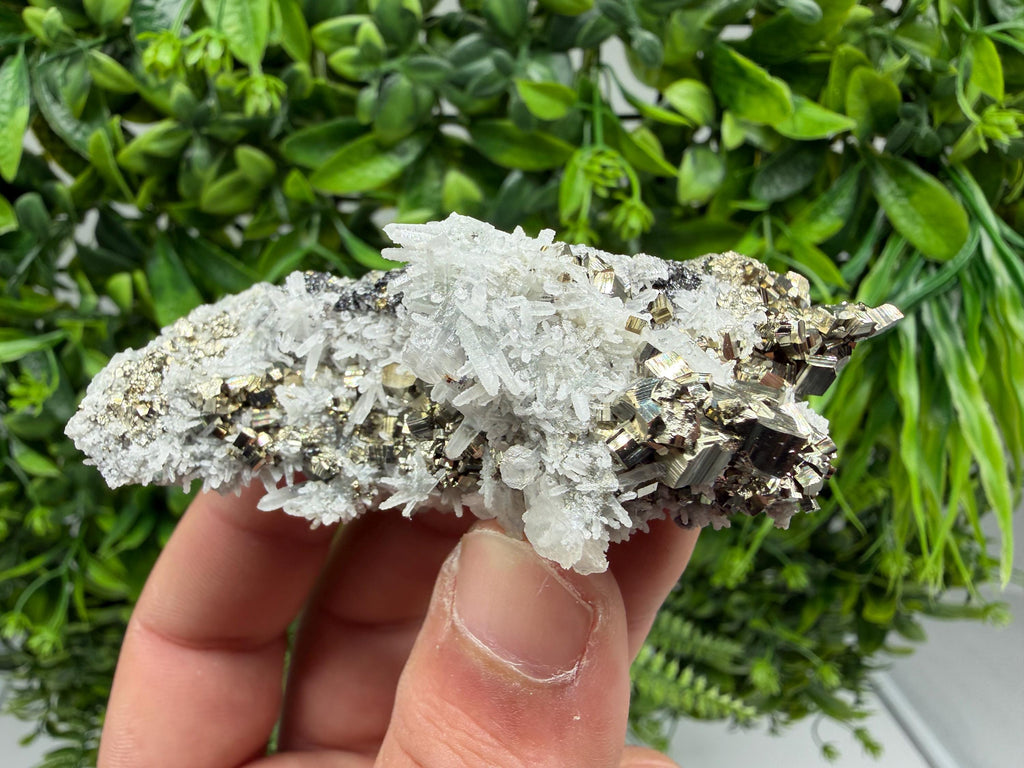 Pyrite Sphalerite Quartz  Mineral Specimen, Krushev dol Mine
