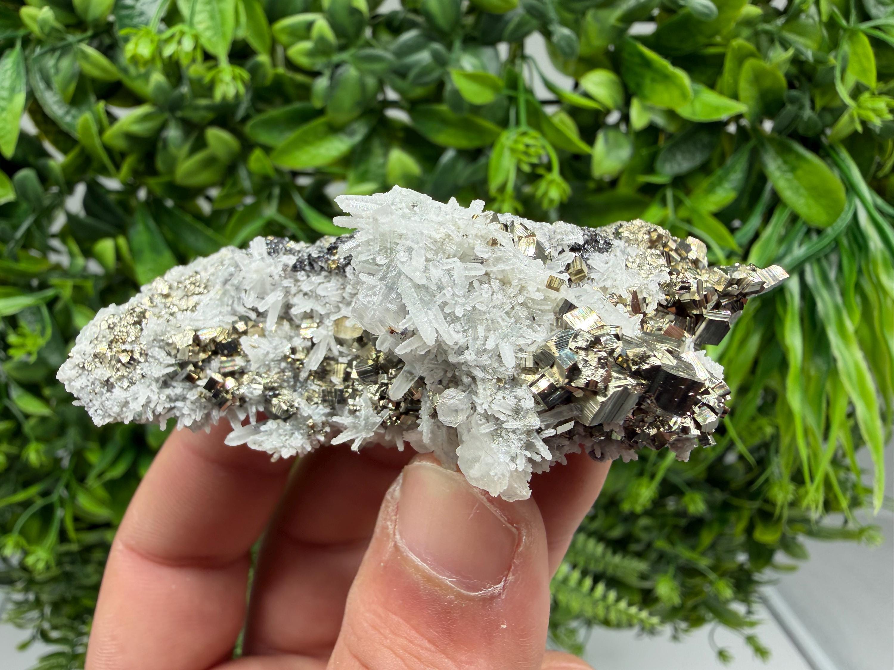 Pyrite Sphalerite Quartz  Mineral Specimen, Krushev dol Mine