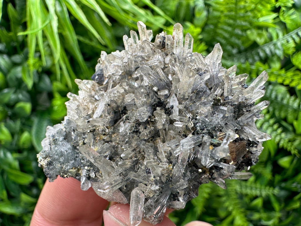 Pyrite Galena on Green Quartz, Chlorite Mineral Specimen, Bulgaria