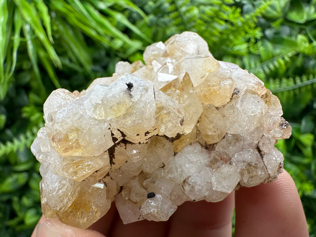 Citrine Crystal Cluster with Hematite Inclusions - Brazil
