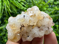 Citrine Crystal Cluster with Hematite Inclusions - Brazil