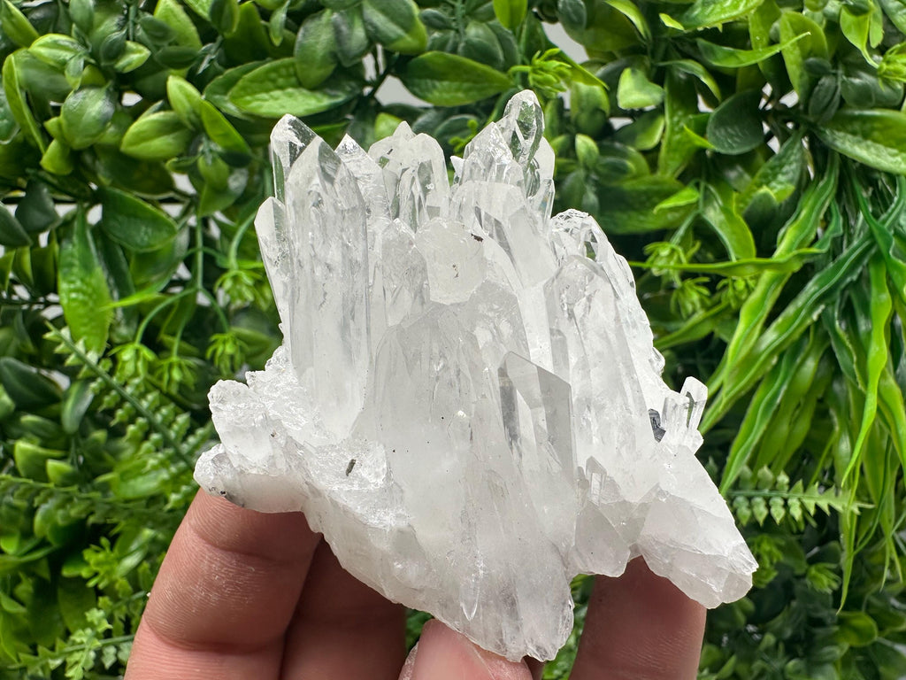 Transparent Quartz Cluster, Djurcovo Mine Bulgaria, Rare Crystal Specimen