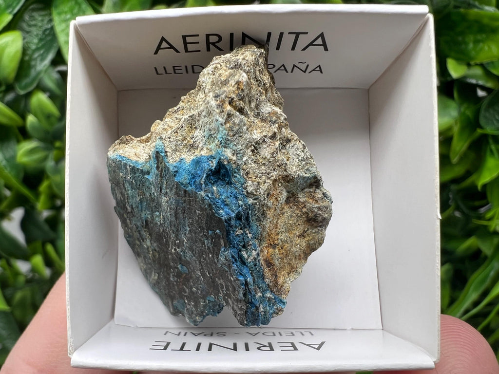 Rare Raw Aerinite Mineral Specimen: Lleida, Spain Collection Crystal