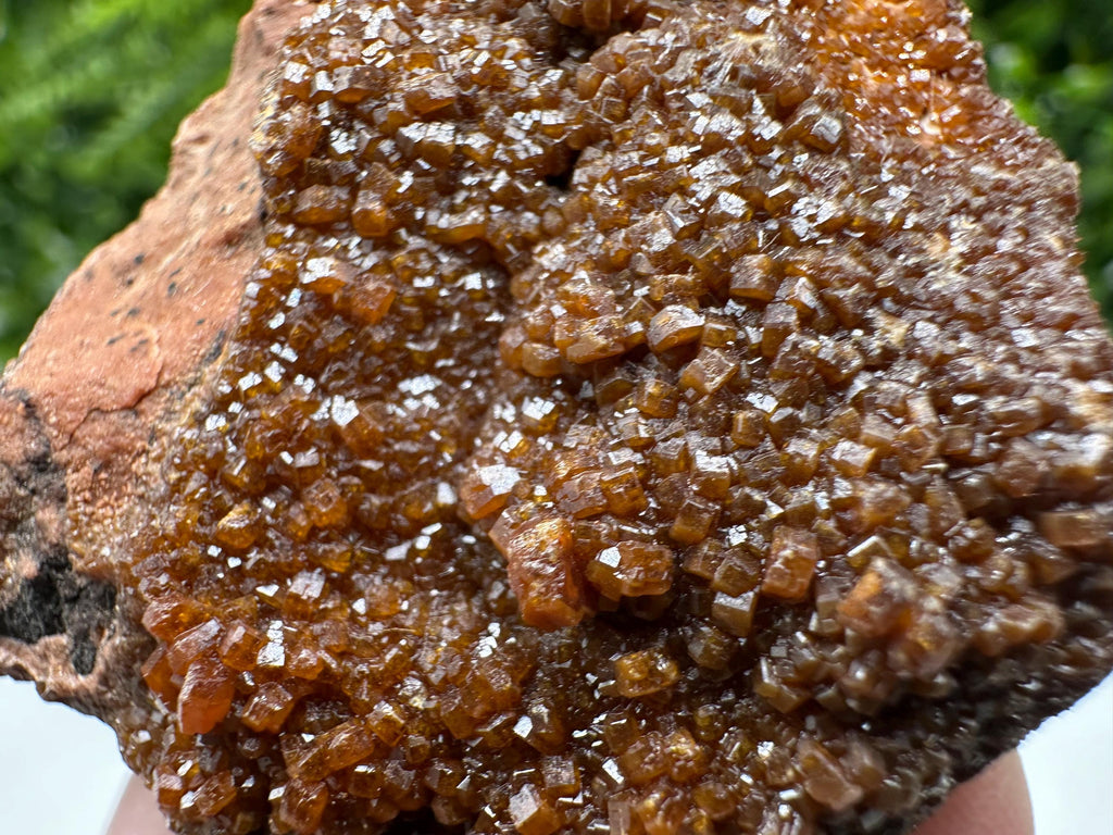 Red Vanadinite on Matrix from Marocco,crystal minerals Speciment cluster Vanadinite crystal Vanadinite Geology Vanadinite cluster minerals