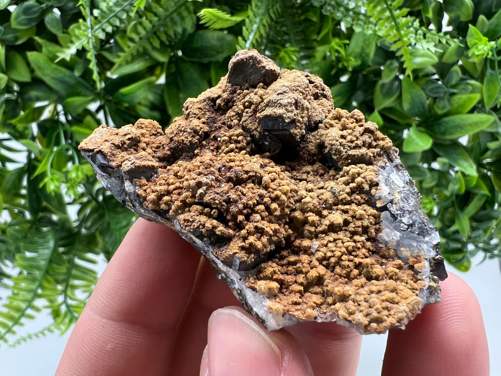 Transparent Quartz whit Sphalerite,Siderite Djurcovo Laki Bulgaria natural minerals souvenir crystal stone gift minerals collection rock