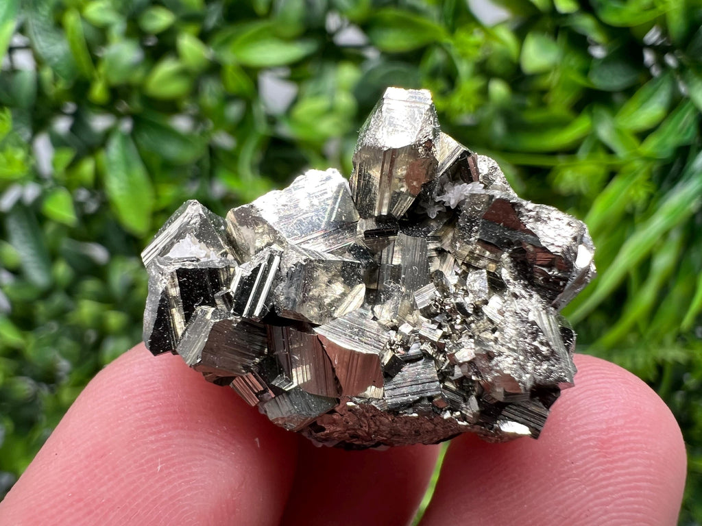 Golden Pyrite,Sphalerite from 9th September mine,Madan,Bulgaria,natural,collectible mineral specimen,home decor crystal,Pyrite cluster,