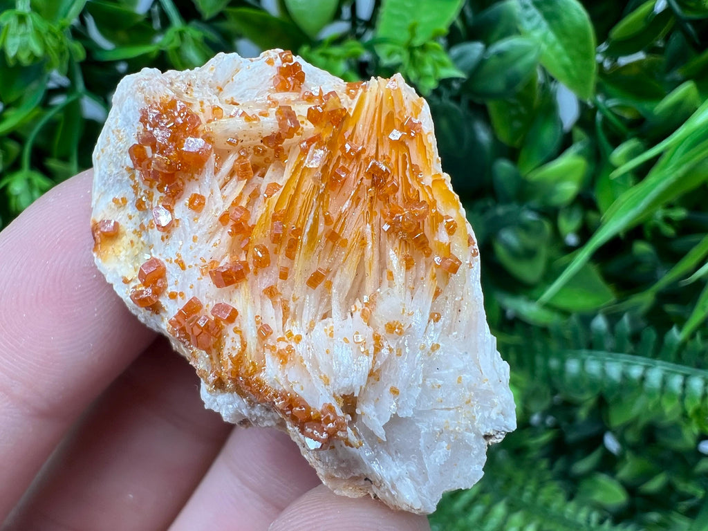 Red Vanadinite on Barite from Marocco,crystal minerals Speciment cluster Vanadinite crystal Vanadinite Geology Vanadinite cluster minerals