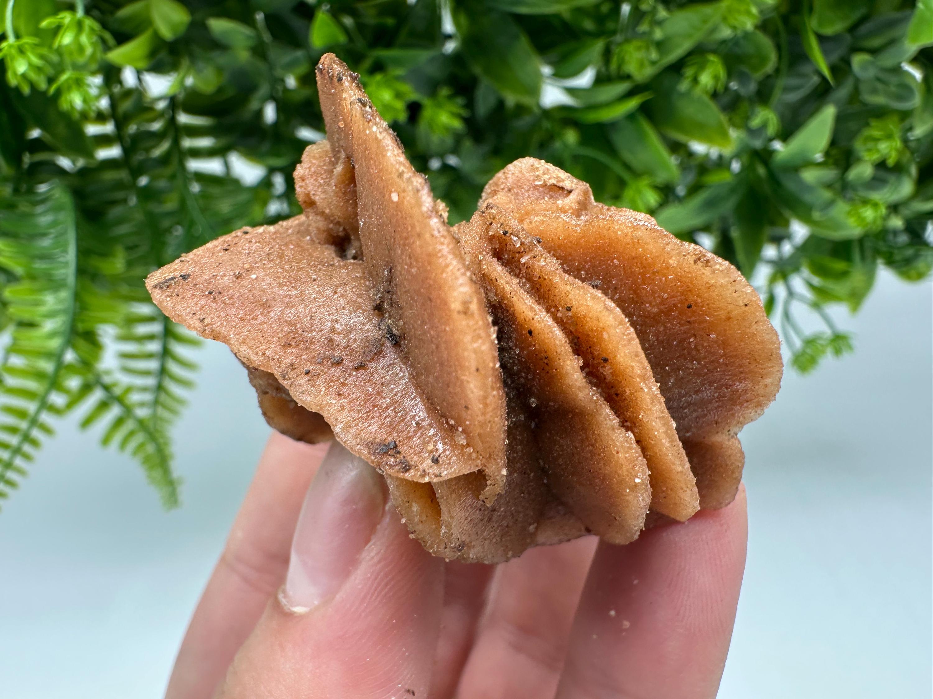 Natural Desert Rose Crystal – Root Chakra Selenite Stone, Home Decor