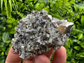Pyrite on Quartz with Chlorite: Natural Crystal Home Decor from Bulgaria