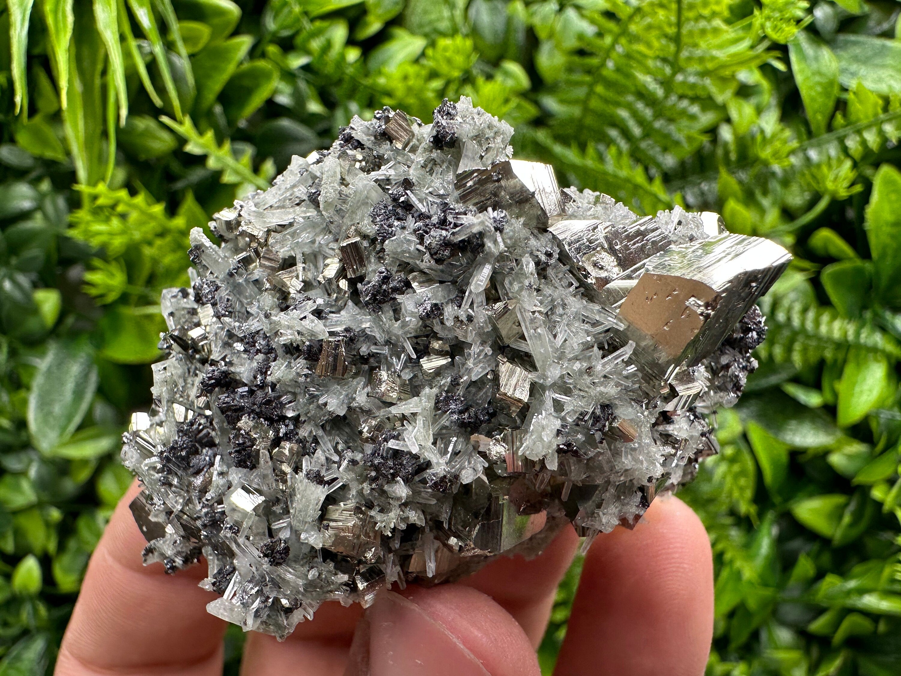 Pyrite on Quartz with Chlorite: Natural Crystal Home Decor from Bulgaria