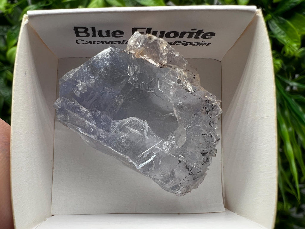 Blue Fluorite from Spain,Mineral Specimen,Blue Fluorite,Fluorite from Spain,Collection, Fluorite Collectors, Crystal Fluorite,collection