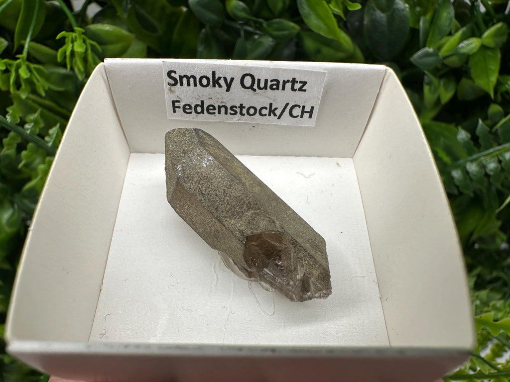 Rare Fedenstock Smoky Quartz Point, Swiss Mineral Specimen (35mm)