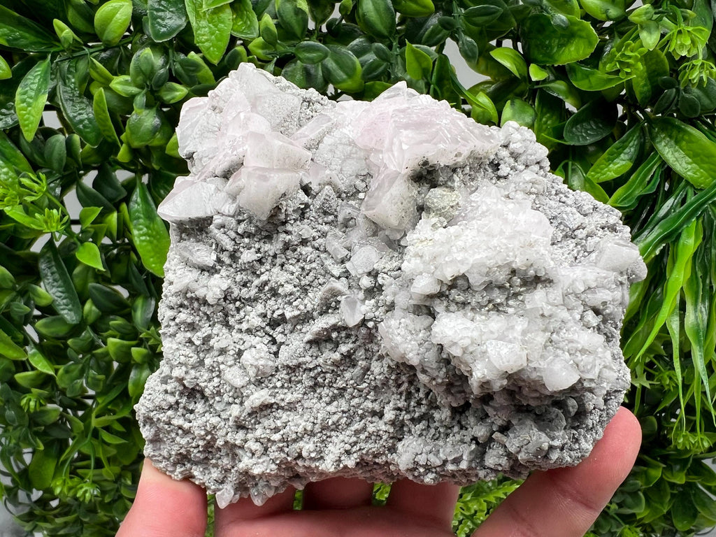 UV Reactive Mangano Calcite Crystal, Androvo Mine Bulgaria
