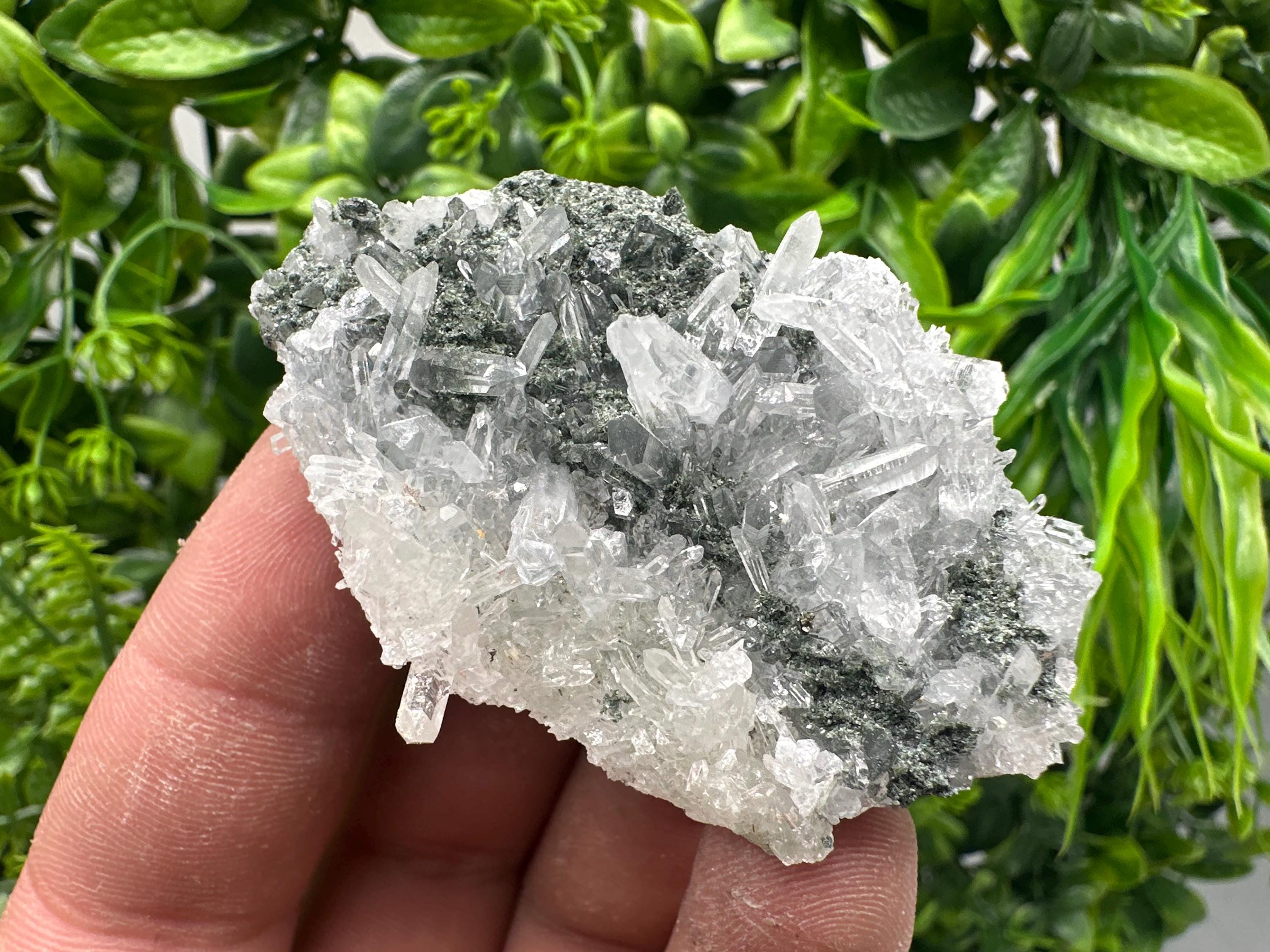 Transparent Quartz on Chlorite Matrix, Borieva Mine Mineral Specimen